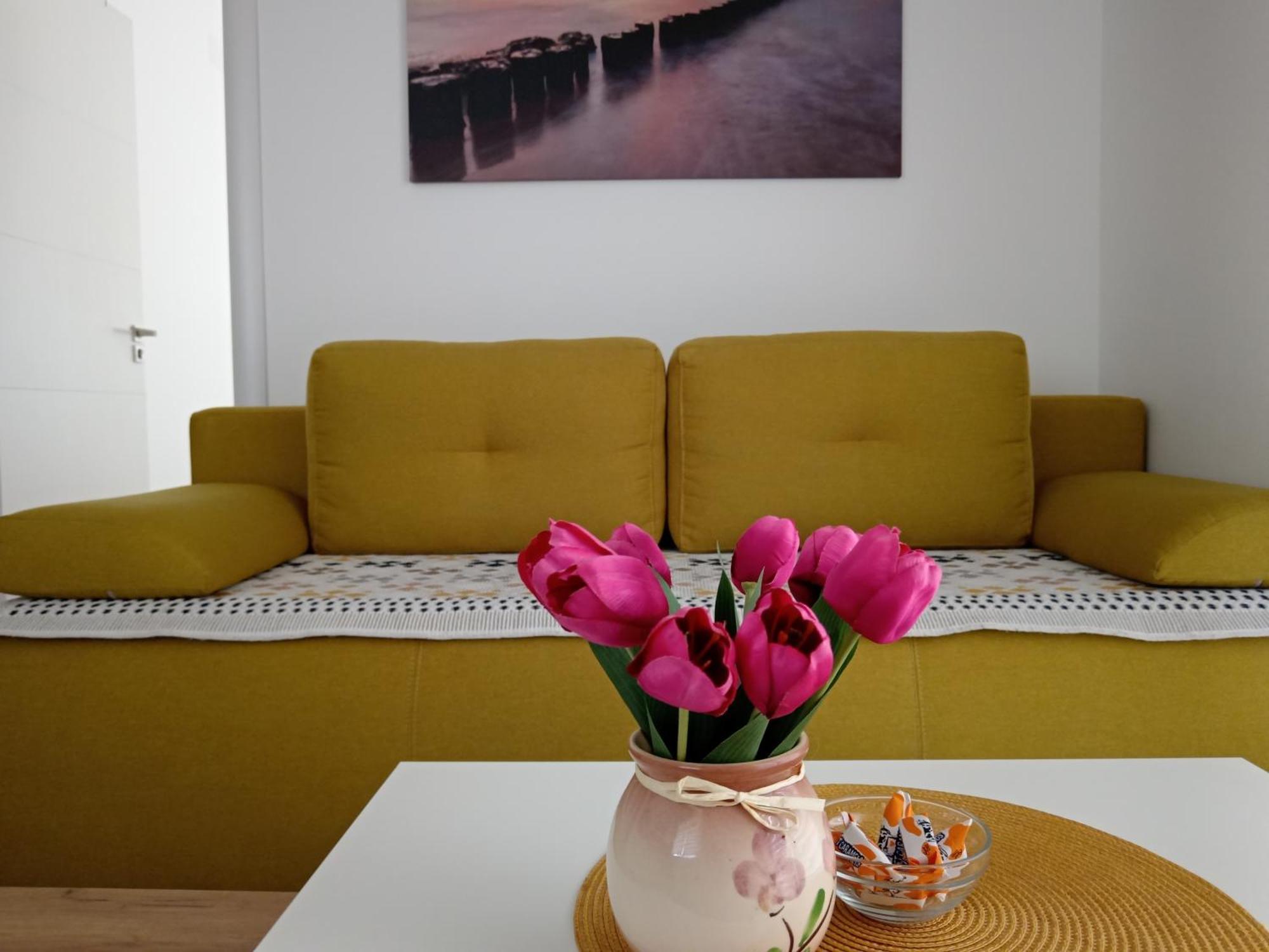 Mk Zlatibor Apartment Bagian luar foto